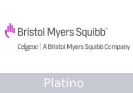 plantilla-platino-bristol