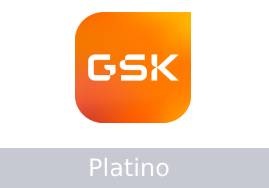 plantilla-platino-gskj-2022pg